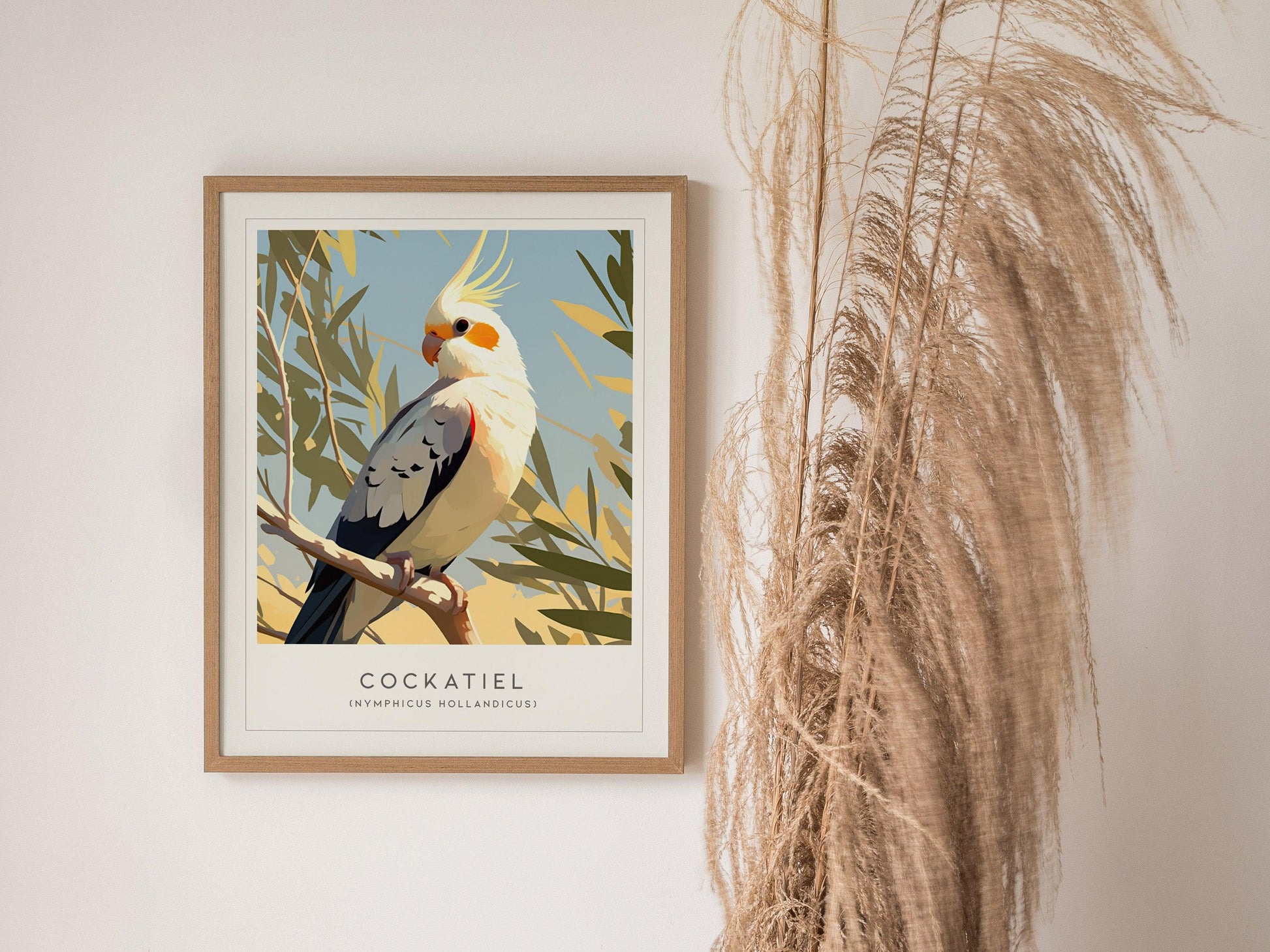Cockatiel Parakeet Framed Poster | Parrot Bird Lover Modern Wall Art | Weero Cockatoo Australia Audubon Print Decor - Swell Scenes