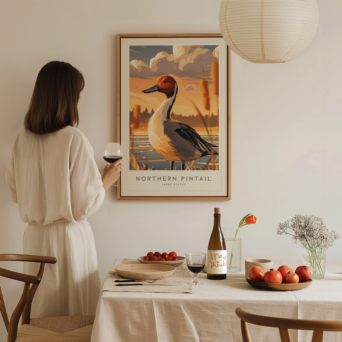 Northern Pintail, Anas acuta Poster | Elegant Waterfowl Bird Wall Art — styled in a modern interior