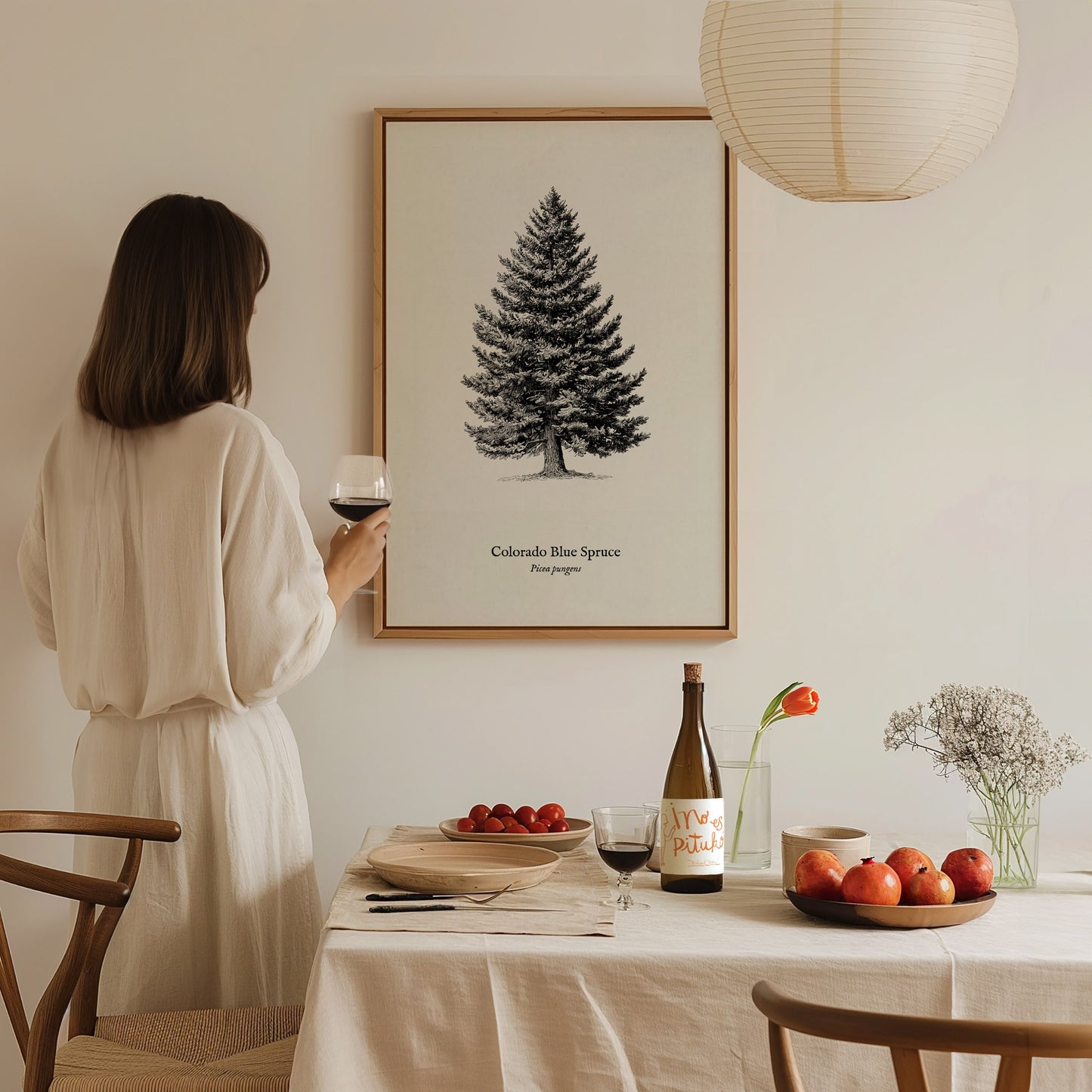 Colorado Blue Spruce Poster | Picea pungens Pen and Ink Print Vintage Botanical Illustration Wall Art — styled in a modern in