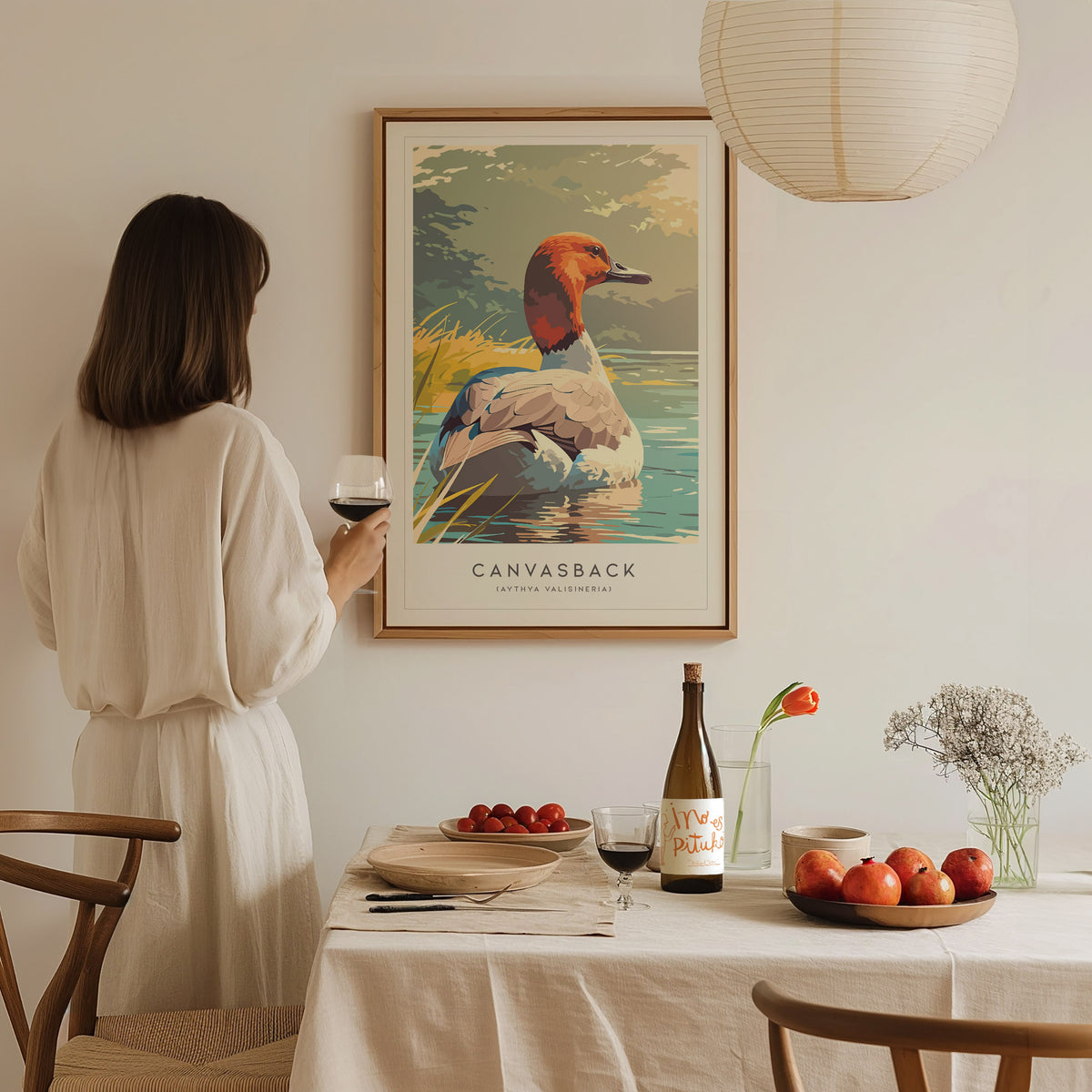 Canvasback, Aythya valisineria Poster | Diving Duck Wildlife Print Wall Art — styled in a modern interior