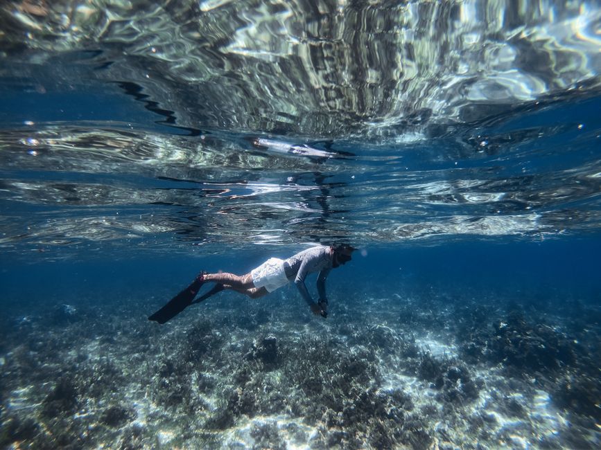 7 Snorkeling Spots in the Florida Keys Worth Planning a Trip Around