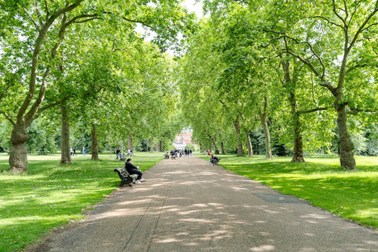 Exploring London's Hidden Green Spaces: A Traveler's Guide