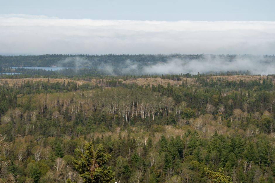 Isle Royale: Michigan's Wildest National Park Most People Never Visit