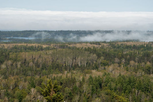 Isle Royale: Michigan's Wildest National Park Most People Never Visit