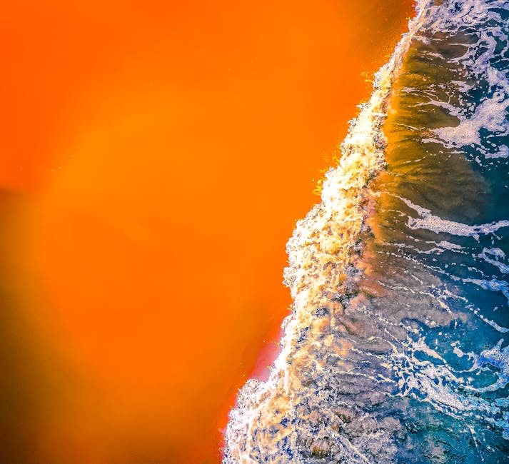 Capturing Cosmic Coastlines: How NASA's Space Missions Inspire Coastal Art