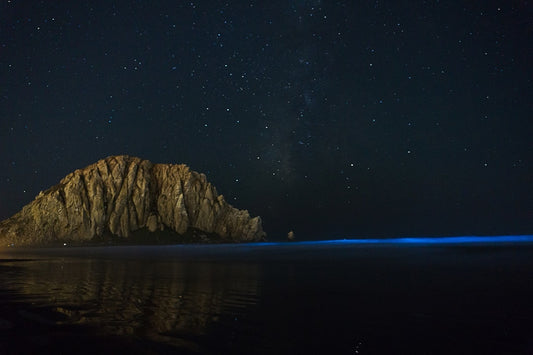 Stargazing by the Ocean: Transforming Your Space with Cosmic Coastal Art