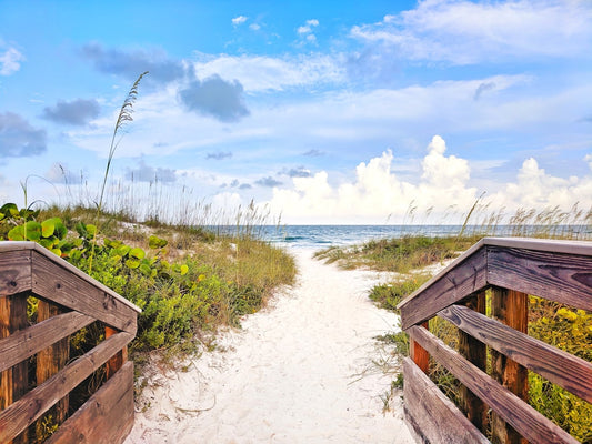 Best Coastal Campgrounds in Florida You Need to Book Now
