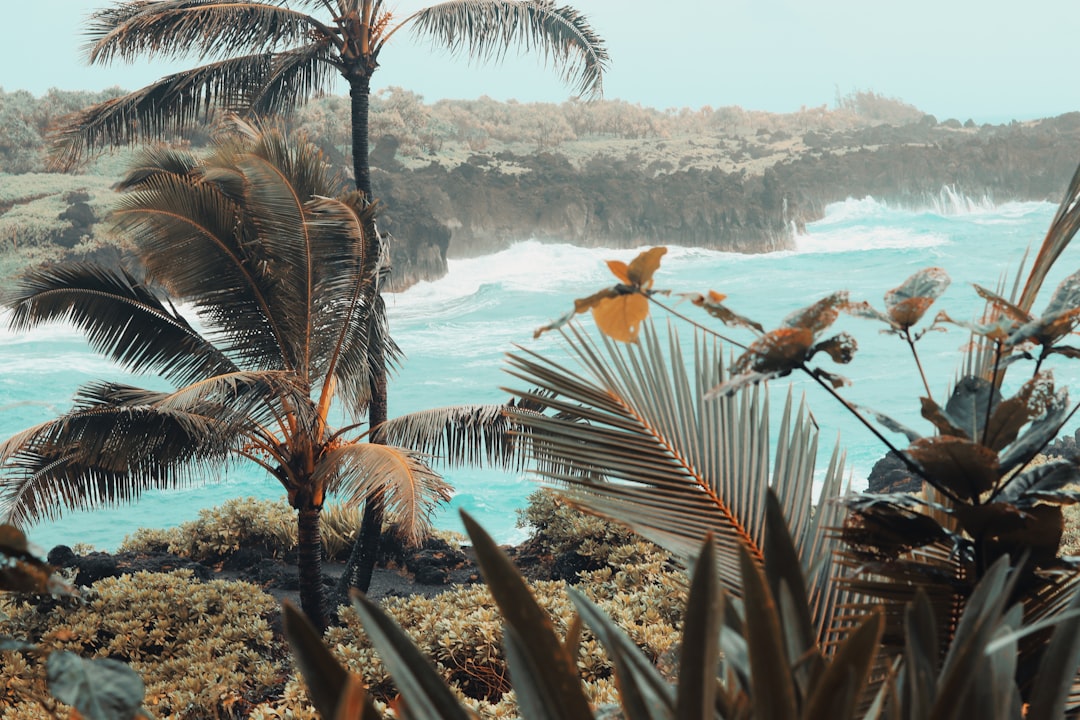 Unlock the Serenity: Transform Your Space with Coastal Art Inspired by Hawaii's Beaches