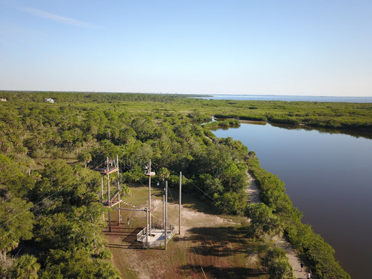 Exploring Myakka River State Park: Nature's Hidden Gem in Florida