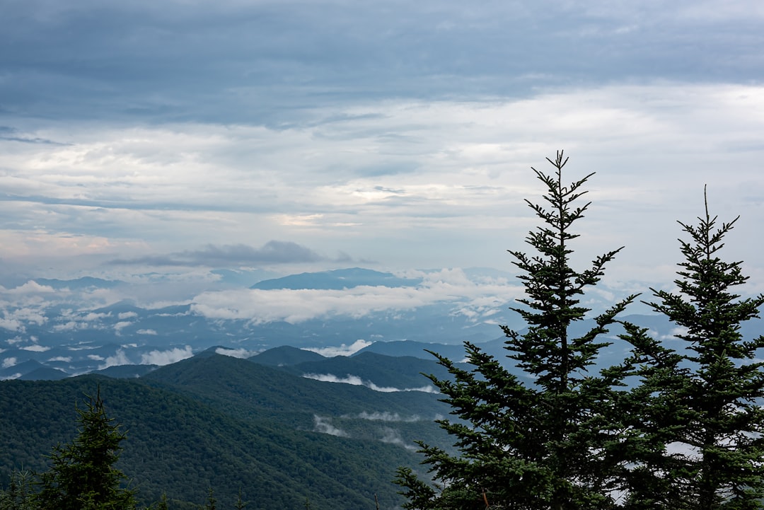Why Clingmans Dome Steals the Show in the Smokies