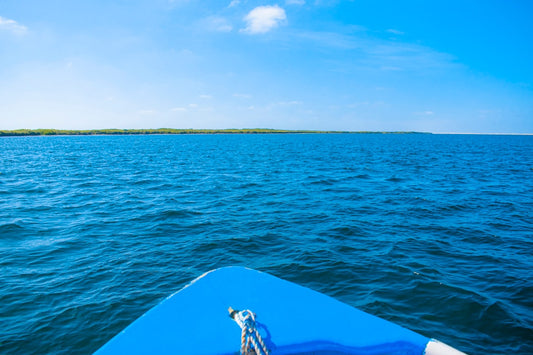 Unlocking the Ocean's Palette: Decorating with Coastal Color Schemes