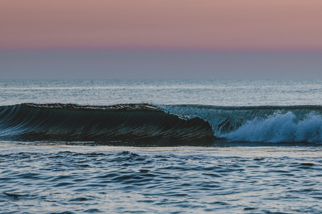 Chasing the Perfect Wave: A Surfer's Guide to the Outer Banks