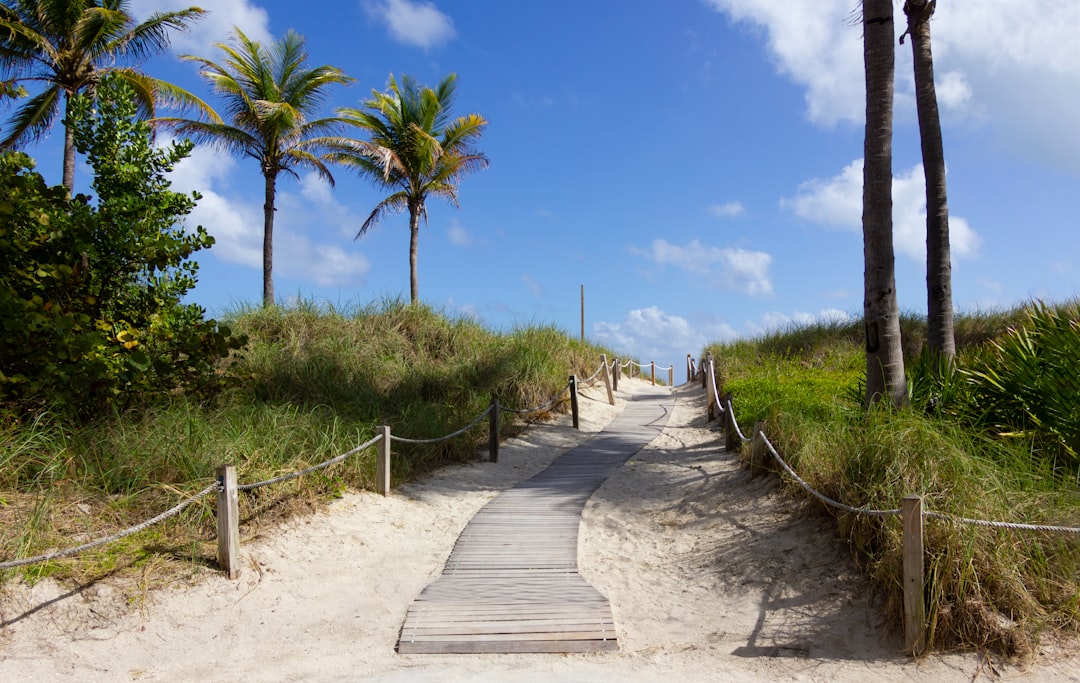 Navigating Coastal Wonders: A Guide to Florida's Hidden Beach Trails