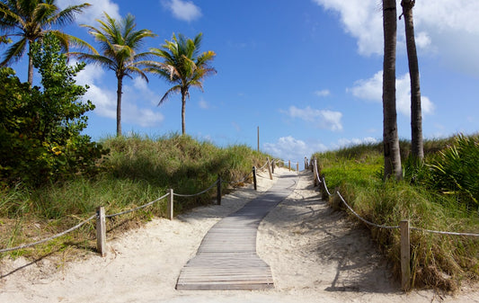 Navigating Coastal Wonders: A Guide to Florida's Hidden Beach Trails
