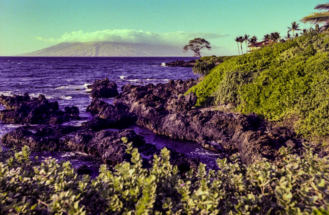 Why Scientists Are Obsessed with Hawaii's Volcanic Coastlines
