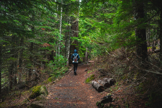 Escape to the Trails: Transforming Your Space with Scenic Hiker Art