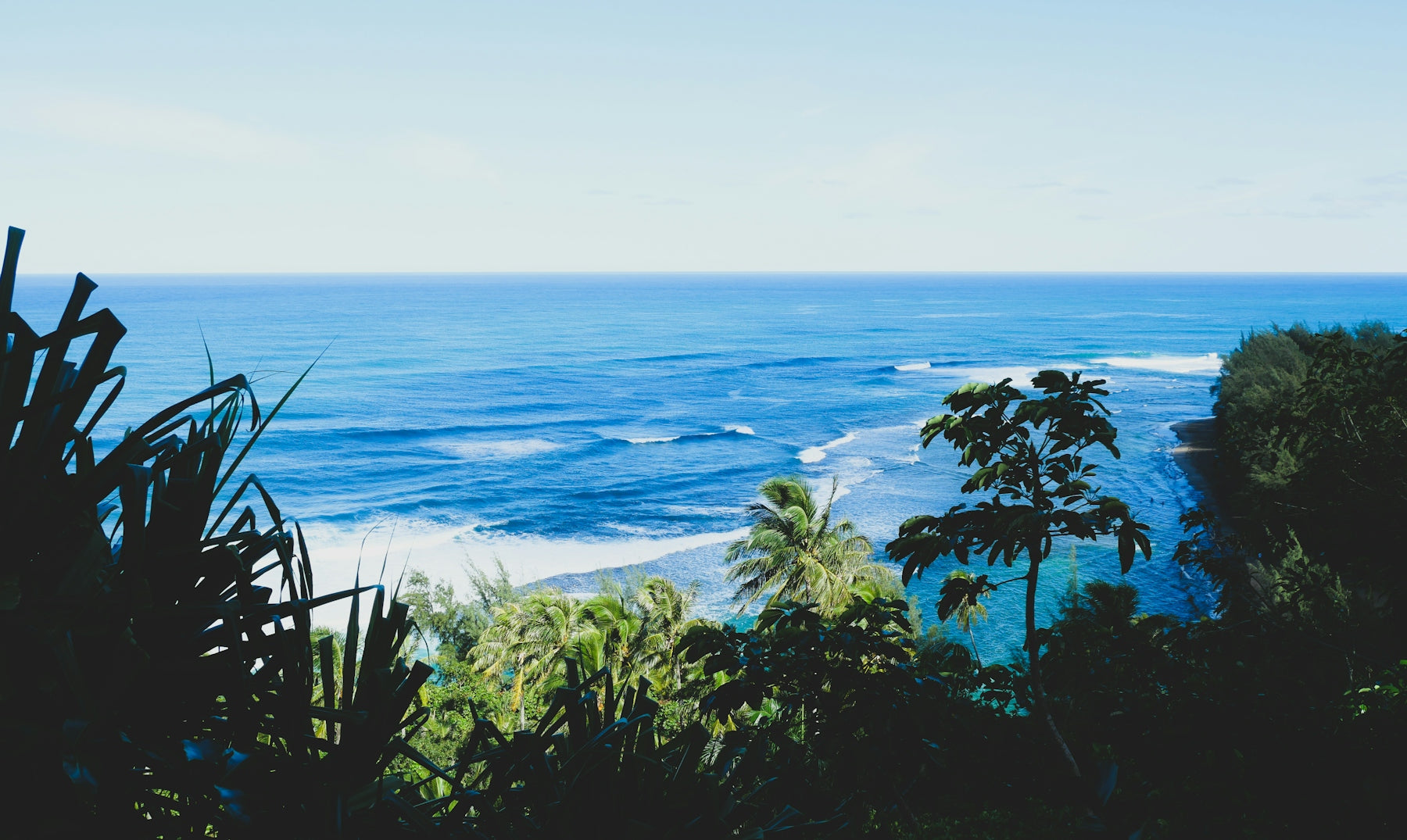 a view of the ocean from the top of a hill