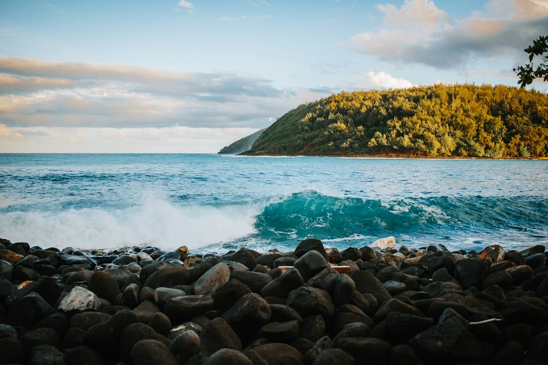 Surf by Day, Stargaze by Night: Your Kauai Surf Spot Guide