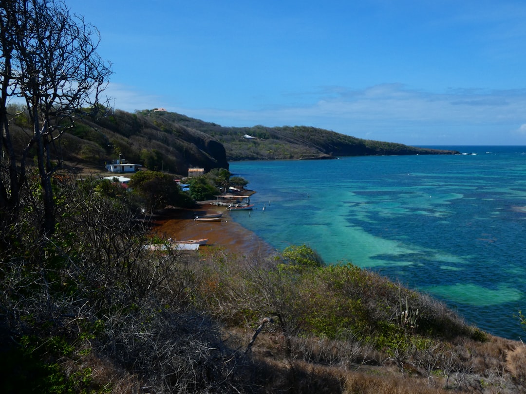 The Science of Coastal Color: How Marine Environments Inspire Our Art