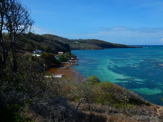 The Science of Coastal Color: How Marine Environments Inspire Our Art