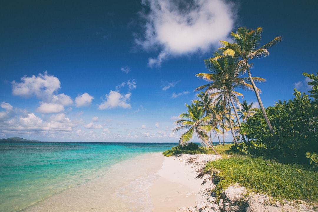 Beyond the Ruins: Playa Paraiso's Secret Caribbean Shore