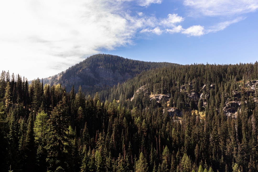 Why Hikers Are Hanging the Trails They Love Most on Their Walls