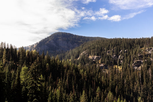 Why Hikers Are Hanging the Trails They Love Most on Their Walls