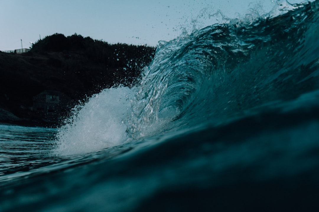 Wave Science and Home Decor: How Surf Art Inspires Ocean Research
