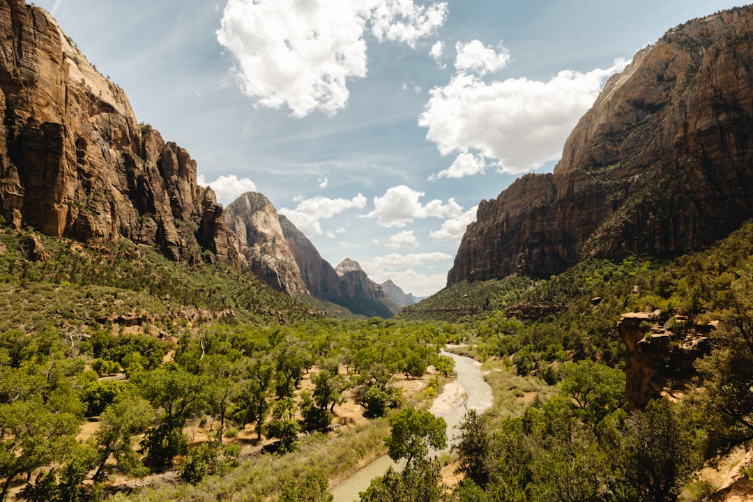 Zion's Most Cosmic Trails: Where Space Enthusiasts Hike to Feel Infinite