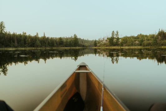 Boundary Waters or Bust: A Nature Lover's Guide to Minnesota's Wildest Canoe Country