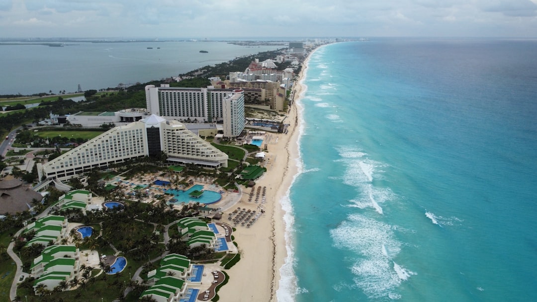 Why Scientists Are Cancún's Most Obsessed Repeat Visitors
