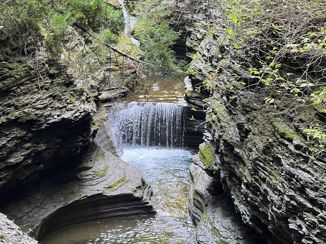 Watkins Glen's Hidden Gorge: New York's Most Dramatic Nature Trail
