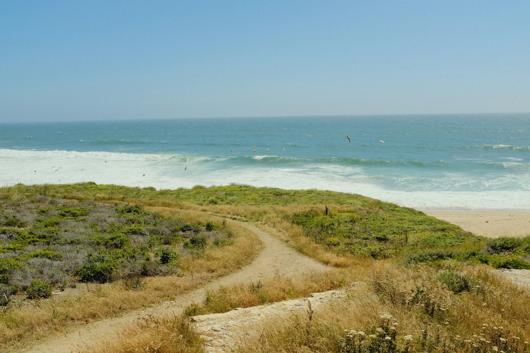 A sandy path leading to the ocean on a sunny day