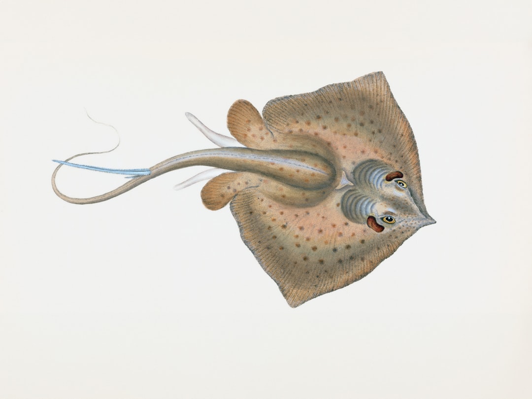 The Science of Coastal Inspirations: How Marine Biology Shapes Art ...