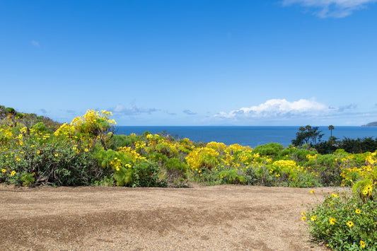 Cosmic Coastal Trails: Aligning Your Hikes with Astrology in California