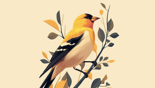 Top Birds for Birdwatchers - Swell Scenes