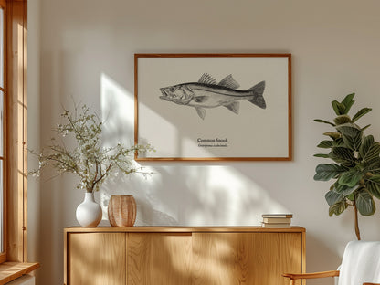 Common Snook Landscape Poster | Centropomus undecimalis Ink Illustration Zoological Wall Art — framed and ready to hang