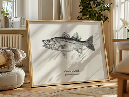 Common Snook Landscape Poster | Centropomus undecimalis Ink Illustration Zoological Wall Art — framed and ready to hang