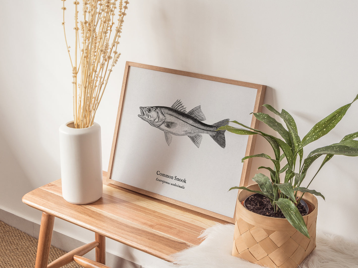 Common Snook Landscape Poster | Centropomus undecimalis Ink Illustration Zoological Wall Art — 20x16 in