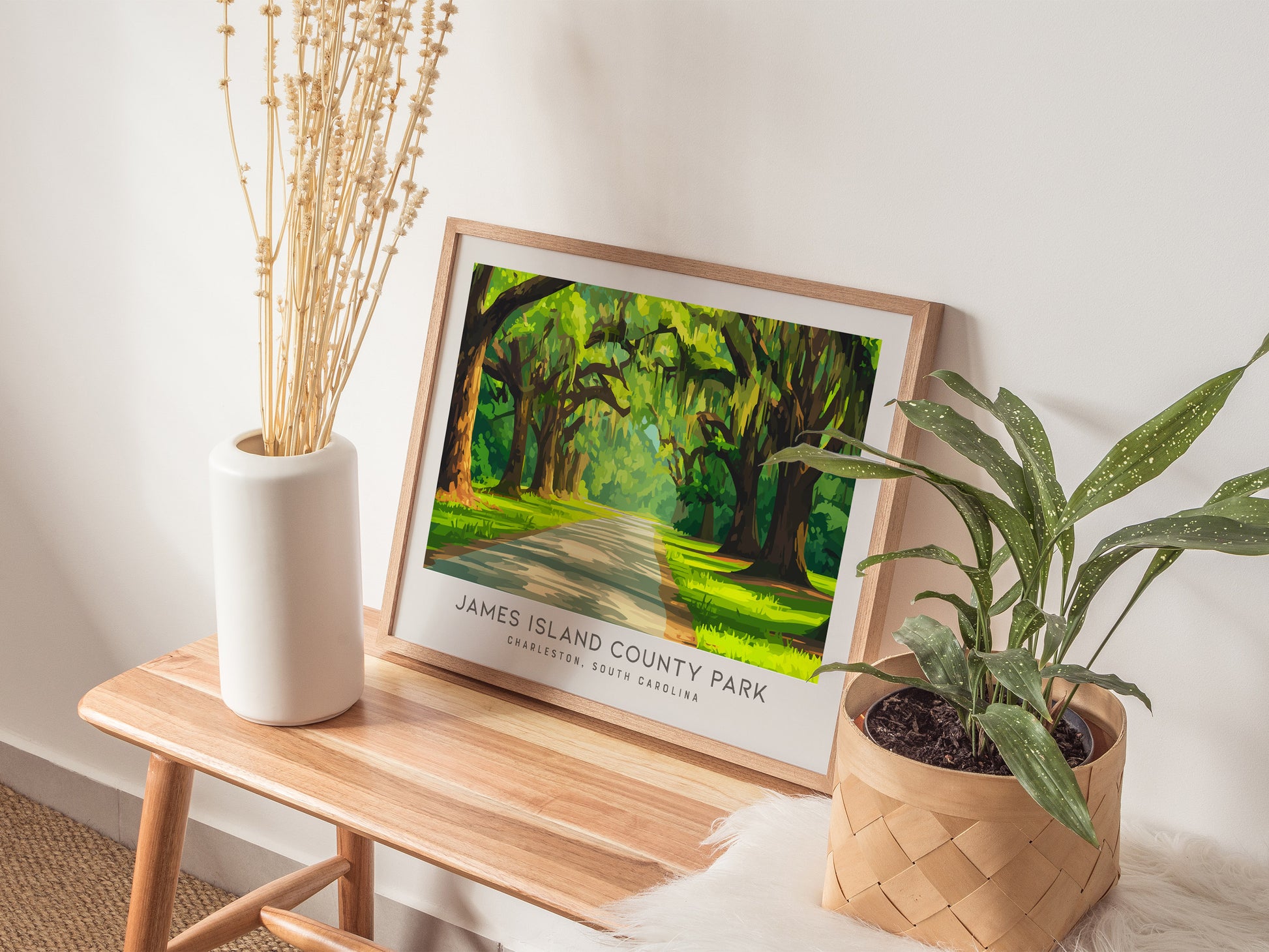 James Island County Park Landscape Matte Border Poster | Charleston, South Carolina Travel Wall Art — 20x16 in