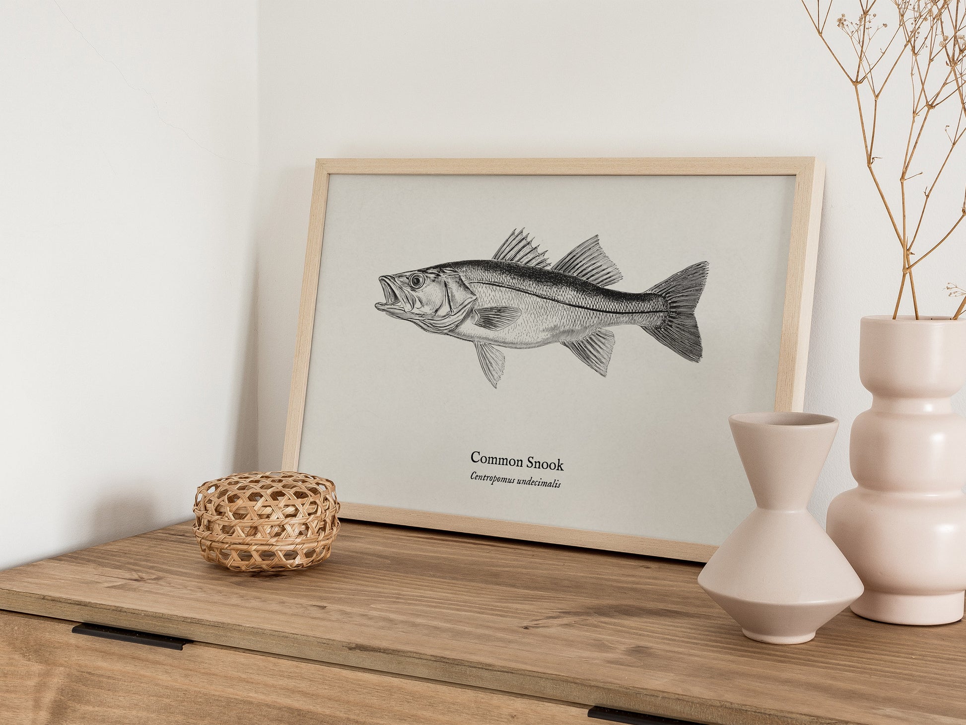 Common Snook Landscape Poster | Centropomus undecimalis Ink Illustration Zoological Wall Art — 12x18 in