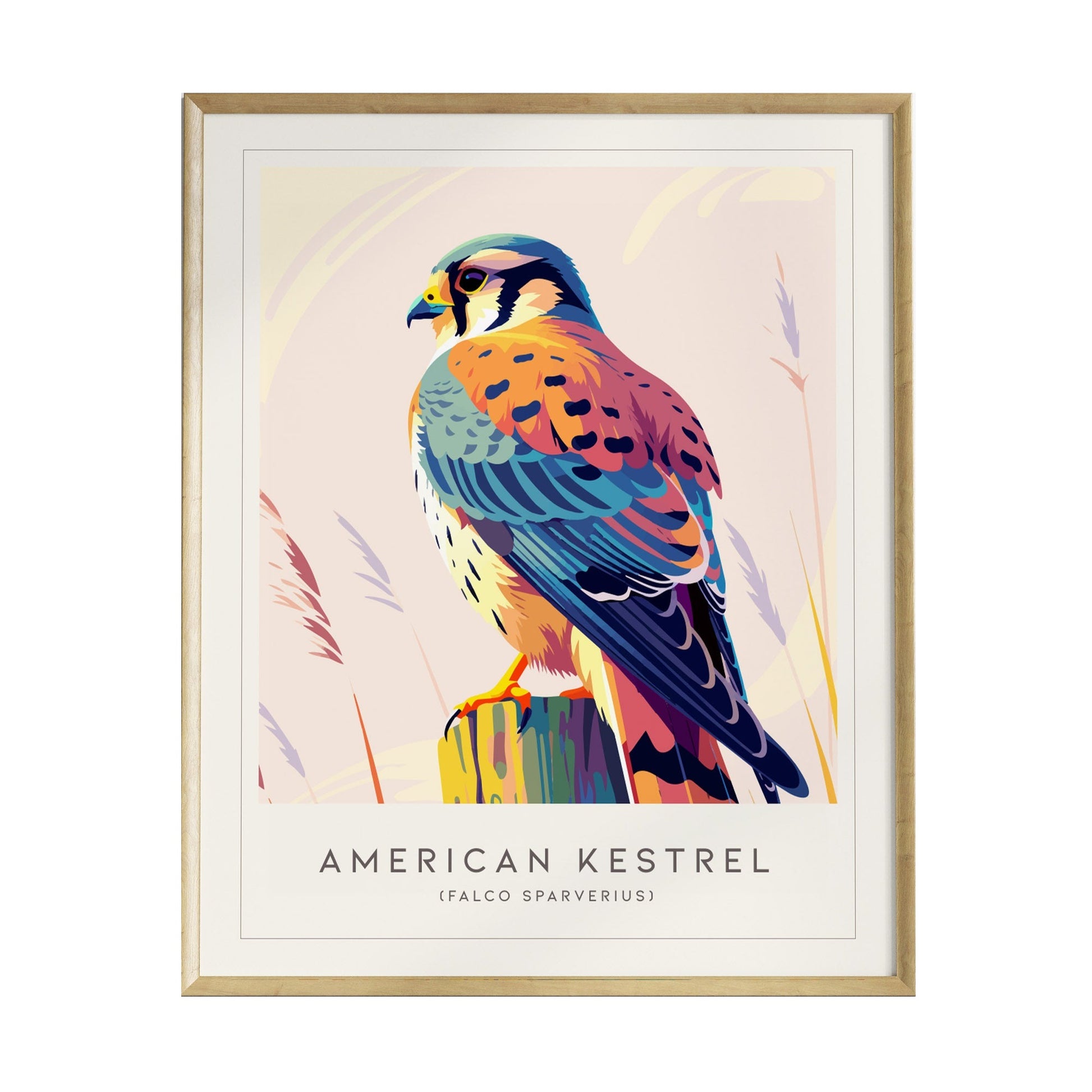 A vibrant illustration of an American Kestrel, showcasing its striking plumage in shades of blue, orange, and brown. The bird is perched on a colorful post, framed elegantly, with soft pastel colors in the background.