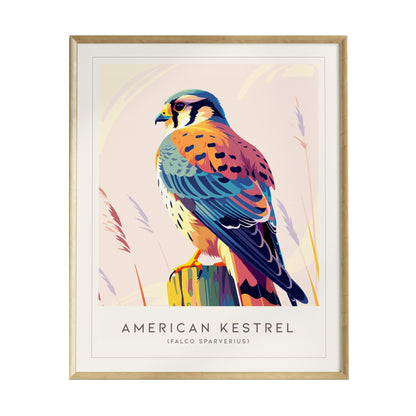A vibrant illustration of an American Kestrel, showcasing its striking plumage in shades of blue, orange, and brown. The bird is perched on a colorful post, framed elegantly, with soft pastel colors in the background.