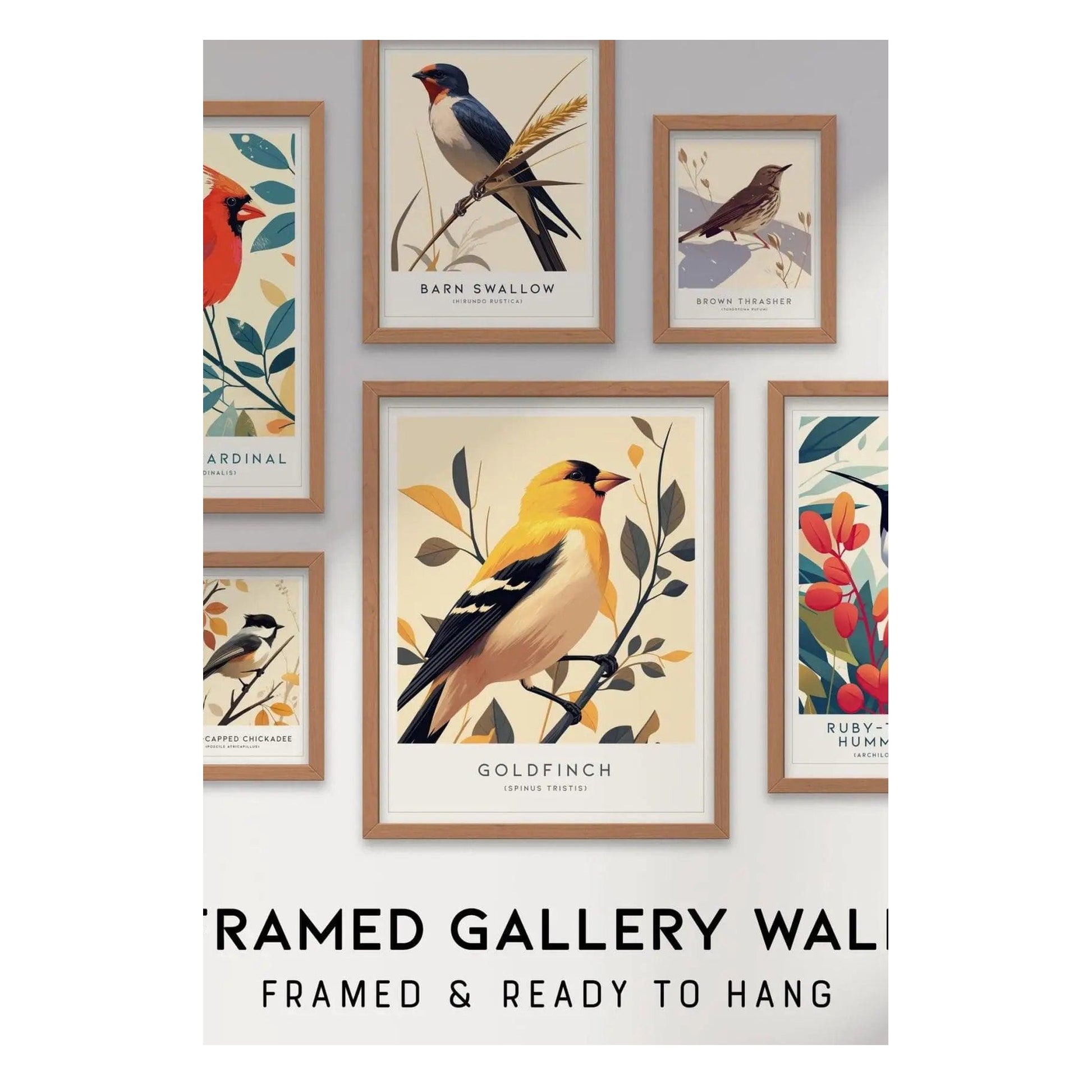 A collection of six framed bird prints is displayed on a wall, featuring various species such as a Goldfinch, Cardinal, and Barn Swallow. Each print is surrounded by a light wood frame, creating an elegant gallery wall aesthetic.