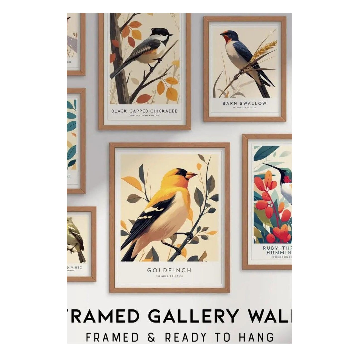 A framed gallery wall displays a collection of bird art prints, featuring species like the Black-Capped Chickadee, Barn Swallow, Goldfinch, and Ruby-Throated Hummingbird, all beautifully arranged in wooden frames.