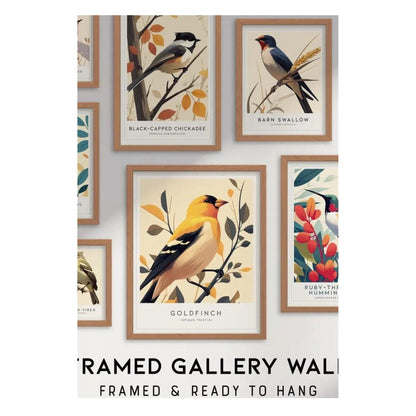 A collection of framed bird prints is displayed on a gallery wall, featuring various species like the Goldfinch, Black-Capped Chickadee, Barn Swallow, and Ruby-Throated Hummingbird.
