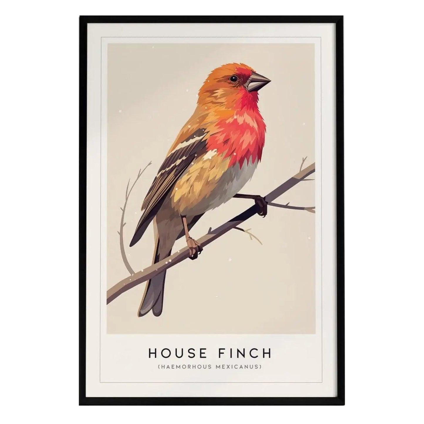A framed poster of a House Finch (Haemorhous mexicanus) perched on a branch, showcasing its vibrant rosy red head and breast, complemented by earthy tones in its body. The minimalist design features the birds name prominently at the bottom.