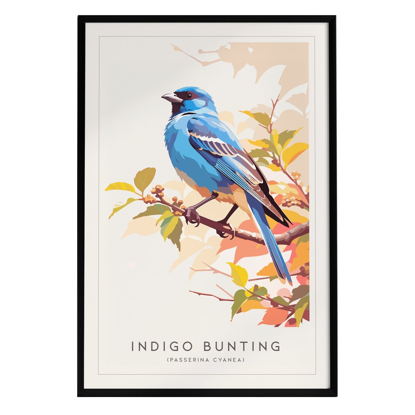 A vibrant art print of an indigo bunting, showcasing its striking blue plumage and perched on a branch surrounded by colorful leaves. The modern illustration features the birds name and scientific classification at the bottom.