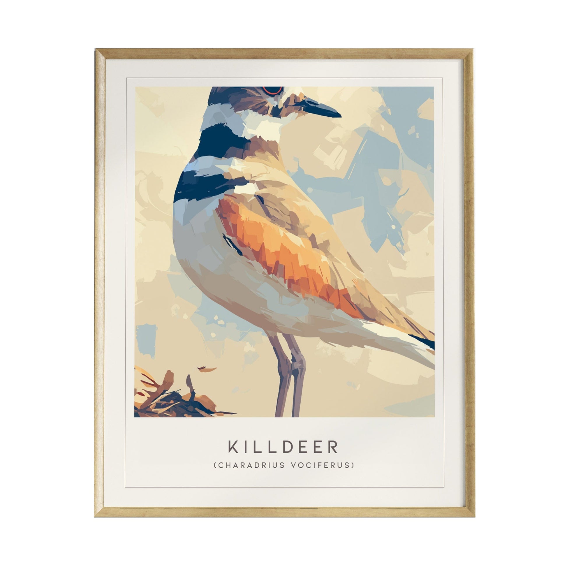A framed poster features a stylized illustration of a killdeer bird, showcasing its distinctive orange and brown plumage. The background is a soft, abstract blend of light colors, enhancing the birds vibrant details.