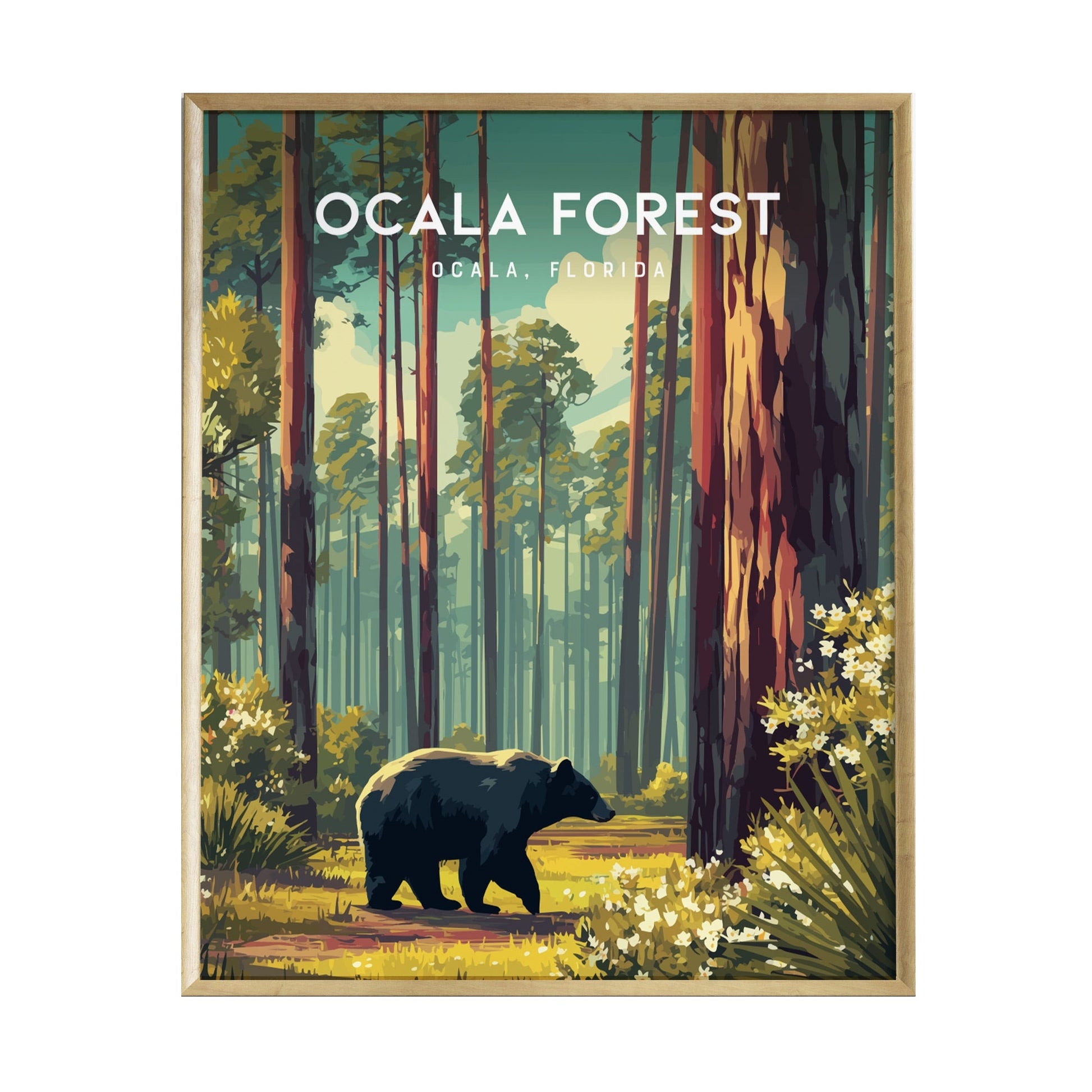 A beautifully illustrated poster of Ocala Forest, Florida, featuring a black bear walking through a sunlit woodland trail. Towering trees and wildflowers frame the scene, capturing the serene beauty of nature in vibrant colors.